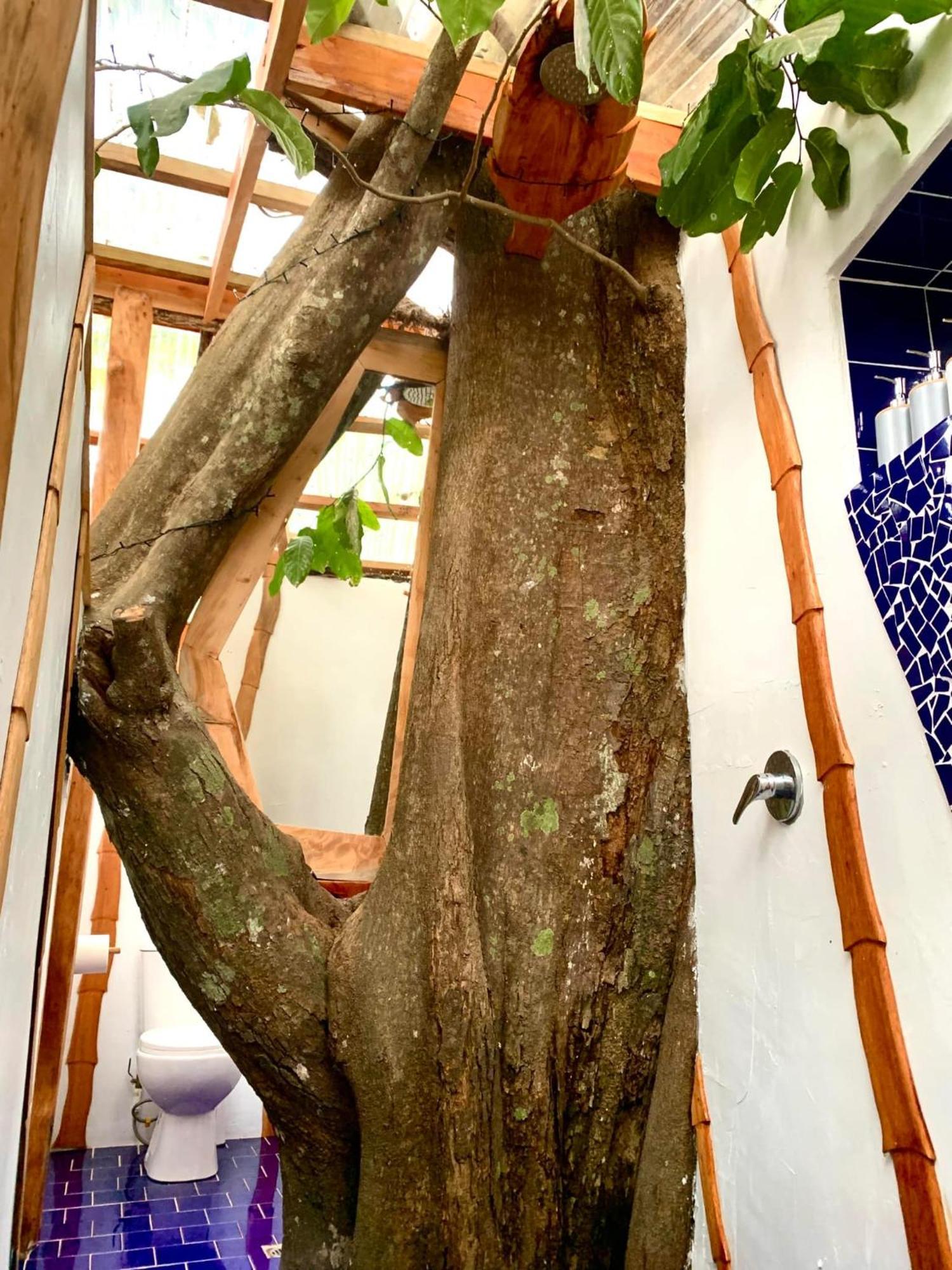 Tukulolo Treehouses Makaunga Екстериор снимка